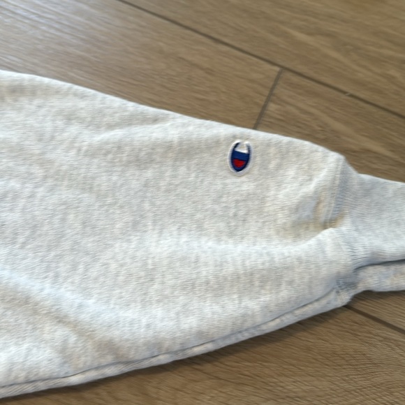 Champion Reverse Weave Heather Gray Cropped Hoodie - Picture 6 of 7